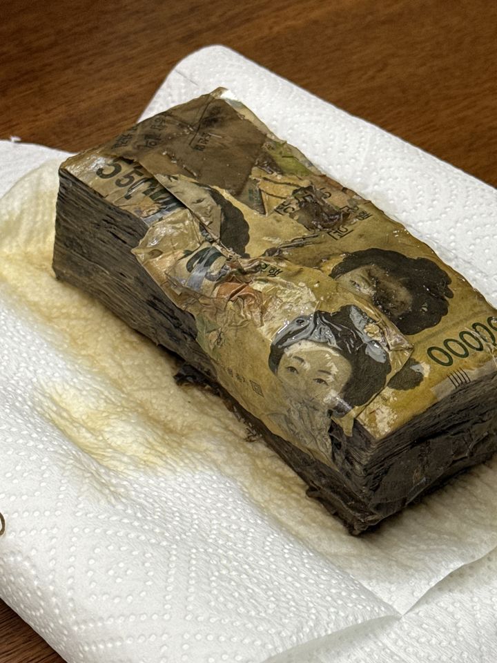 한국은행이 13일 발표한 '2025년 중 손상화폐 폐기 규모'에 따르면 지난해 폐기한 손상화폐는 총 3억6401만장으로 액면가로 2조8404억원에 달한다.(사진제공=한국은행) *재판매 및 DB 금지