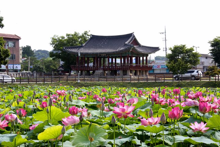 [정읍=뉴시스] 국가지정보물 제289호 '호남제일정'이라 불리는 피향정. *재판매 및 DB 금지