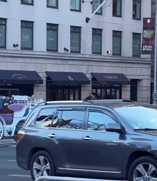 [뉴시스] 미 뉴욕 센트럴파크 남쪽 인근 도로에서 관광 마차를 끄는ㅁ 말이 운전사 없이 도로를 질주하며 사고를 내는 모습. (영상=NY클래스) 2026.1.12 *재판매 및 DB 금지 *재판매 및 DB 금지