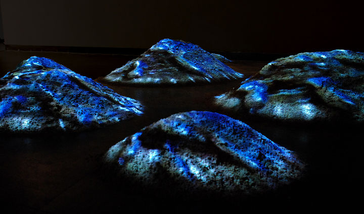 [대구=뉴시스] 배문경 작가 'Cloned, Some' 작품. (사진=행복북구문화재단 제공) 2025.01.13. photo@newsis.com *재판매 및 DB 금지