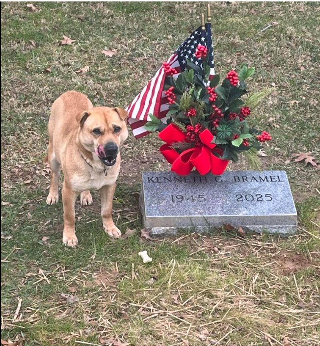 [뉴시스] 미국 켄터키주 메이슨 카운티 동물보호소가 지난 7일 페이스북을 통해 공개한 사진. (사진=메이슨 카운티 동물보호소 페이스북) 2026.1.13 *재판매 및 DB 금지