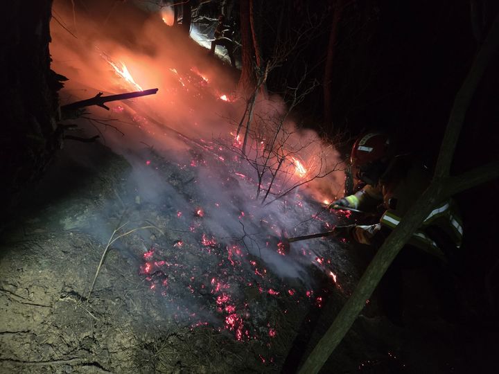  *재판매 및 DB 금지