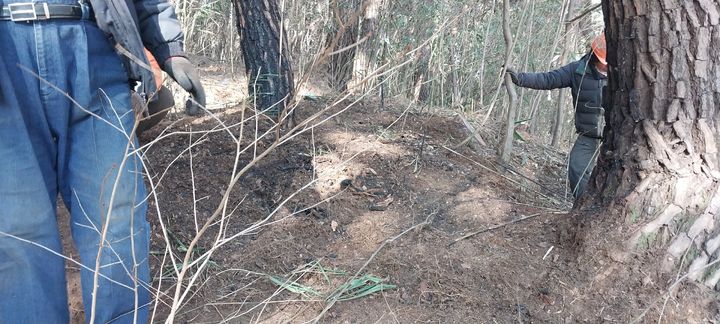 [울산=뉴시스] 13일 오후 울산 울주군 상북면 명촌리 한 야산에서 불이나 산림이 훼손돼 있다. 2026.01.13. (사진=산림청 중앙산림재난상황실 제공) photo@newsis.com *재판매 및 DB 금지