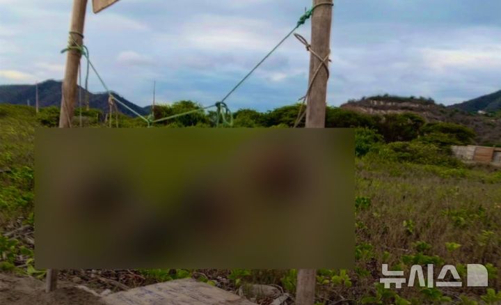 [뉴시스] 11일 에콰도르 푸에르토 로페스에서 발견된 참수된 머리가 전시되어 있는 사진. (사진=X) 2026.01.13  