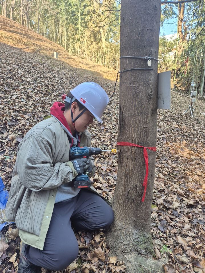 [진주=뉴시스] 국립산림과학원 진주산림바이오소재연구소, 진주시험림에서 고로쇠 수액 채취.(사진=산림과학원 제공).2026.01.14.photo@newsis.com *재판매 및 DB 금지