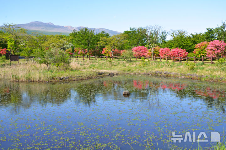 [제주=뉴시스] 한라생태숲 수생식물원 전경. (사진=제주도 제공) photo@newsis.com