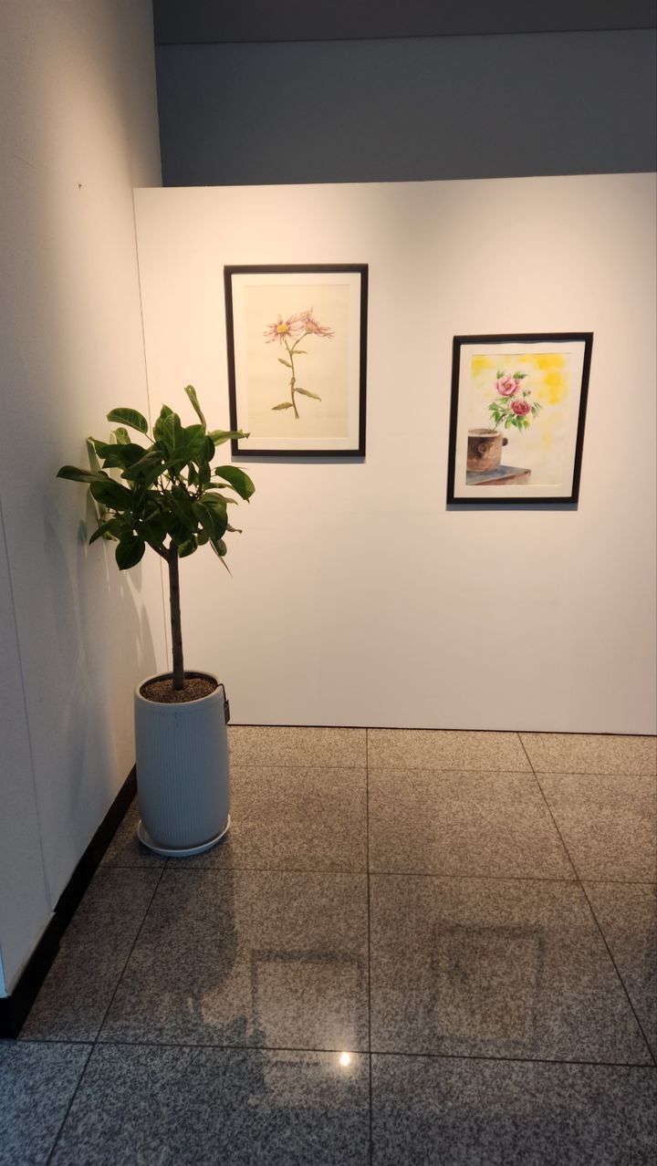 [창녕=뉴시스] 창녕문화예술회관 사무동 벽면 갤러리창 전시 공간 및 작품. (사진= 창녕군 제공) 2026.01.14. photo@newsis.com *재판매 및 DB 금지