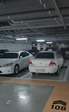 차로 꽉 찬 지하주차장, 공 '탕탕'…아찔한 테니스 연습(영상)