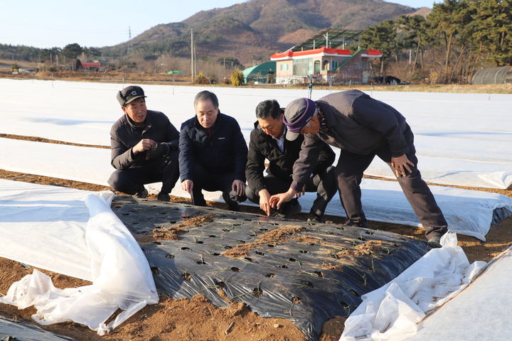 [홍성=뉴시스] 충남세종농협, 한파 피해 예방 현장지원 모습. *재판매 및 DB 금지