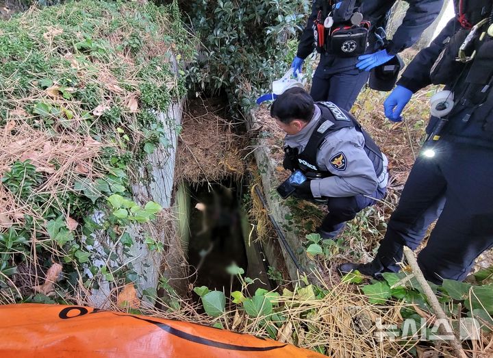 [제주=뉴시스] 13일 오전 서귀포시 한 과수원 배수로에서 경찰과 소방당국이 실종신고가 접수된 60대 치매 환자를 구조하고 있다. (사진=제주경찰청 제공) 2026.01.14. photo@newsis.com 