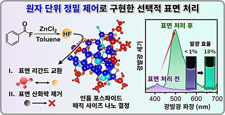 [대전=뉴시스] 카이스트(KAIST) 연구진이 원자단위 정밀 제어기술을 통해 친환경 나노반도체의 발광 효율 한계를 극복했다. 연구 개요도. (사진=KAIST 제공) 2026.01.14. photo@newsis.com *재판매 및 DB 금지