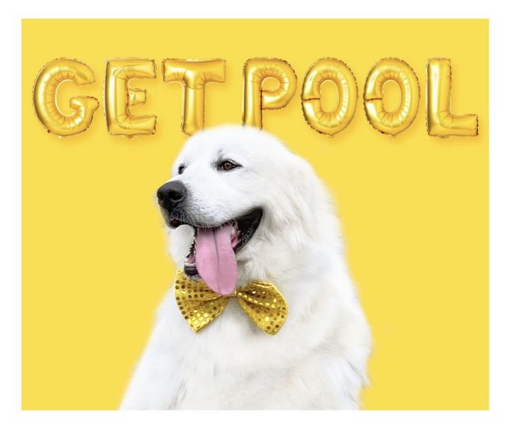 (사진=탐앤탐스 사화관계망 캡처) *재판매 및 DB 금지