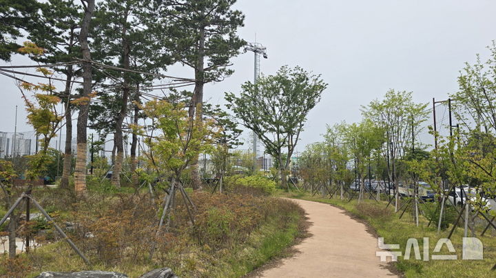 [포항=뉴시스] = 포항시 남구 상도 생활 야구장 전경. 2026.01.14. photo@newsis.com