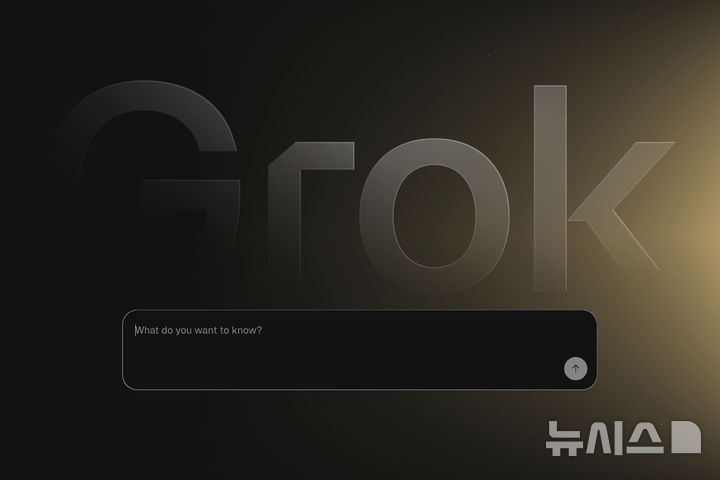 xAI 공동창업자 연달아 퇴사…기술팀 내부 갈등?