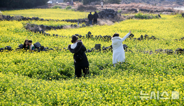 일요일 제주 맑고 포근, 아침 11도·낮 20도…5㎜ 미만 비