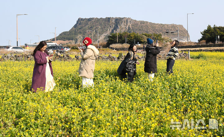 제주 1월 강수량 9.4㎜…50년만에 최저치