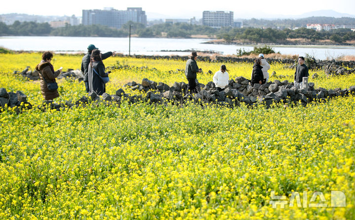 제주, 오후부터 맑아져…낮 최고 10도