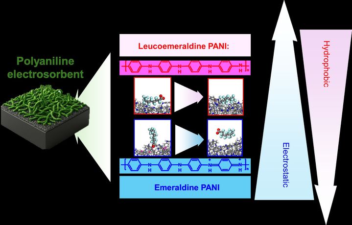 [울산=뉴시스] 전도성 고분자의 전기적 상태 변화에 따른 과불화화합물 흡착 및 탈착 매커니즘 (사진=UNIST 제공) photo@newsis.com *재판매 및 DB 금지