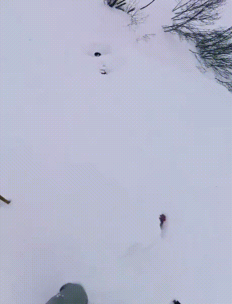 눈더미에 튀어나온 '팔 하나'…매몰 스키어 극적 구조(영상)