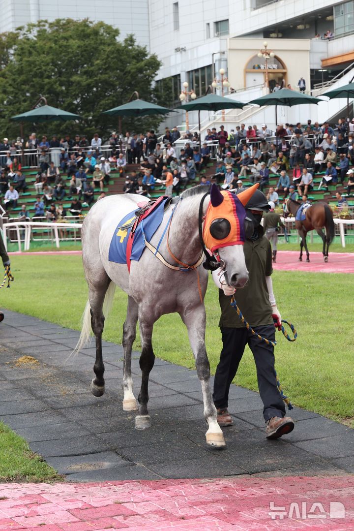 '최강 경주마 총출동' 렛츠런파크 서울 1400m 경주 대회 18일 개최 - 뉴스 썸네일 이미지