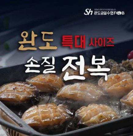 [서울=뉴시스] 홈앤쇼핑의 '수협 완도산 손질전복' (사진=홈앤쇼핑 제공) 2026.01.15. photo@newsis.com *재판매 및 DB 금지