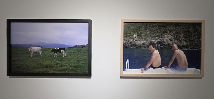 [사진=박현주 미술전문기자] 박용만 사진전. 두 아들의 뒷모습과 초록 평원 위의 소 두 마리. 인간과 자연, 서로 다른 장면이지만 사진은 같은 온도로 말을 건다. *재판매 및 DB 금지