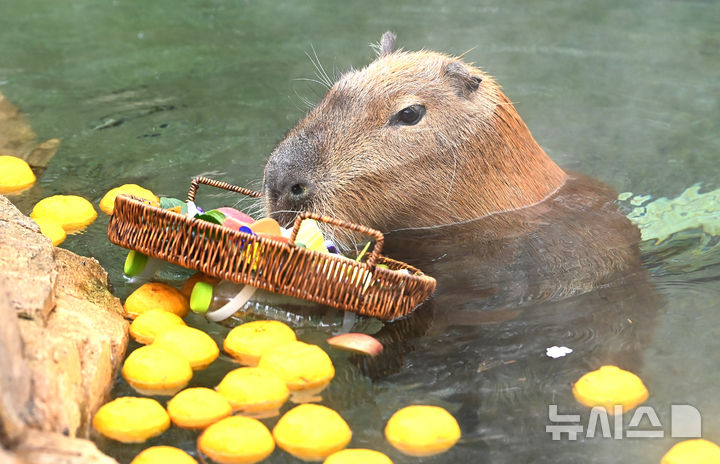 영하권 추위 속 동물들의 겨울나기 [뉴시스Pic]