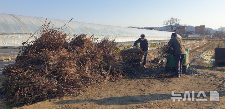 [진천=뉴시스] 영농부산물 처리 현장 모습. (사진=진천군 제공)