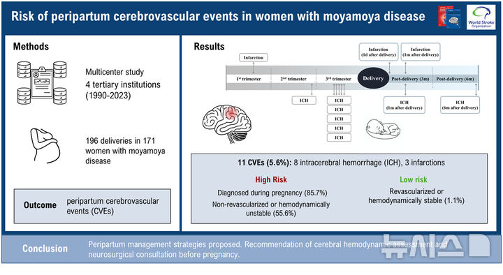 모야모야병 산모, '뇌졸중' 원인 찾았다…"태아에 악영향"