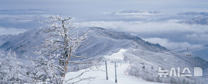 부영 무주덕유산리조트, 국내 최장 '실크로드 슬로프' 오픈