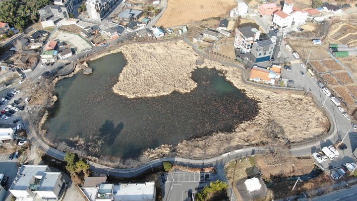 [광주=뉴시스] 과거 연꽃 명소로 불렸지만 퇴적물이 쌓여 육지화가 진행돼 토사와 잡풀로 덮인 광주 광산구 수완1저수지. (사진=광주 광산구 제공) 2026.01.18. photo@newsis.com *재판매 및 DB 금지
