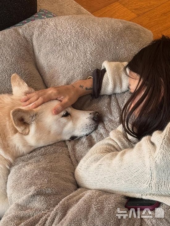 이효리♥이상순, 15년 함께 한 반려견 구아나와 이별