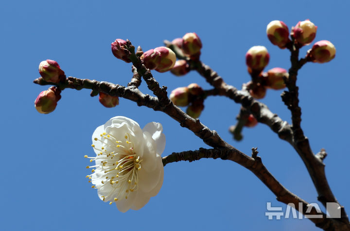 부산, 대체로 맑고 건조한 날씨…낮 최고 14도