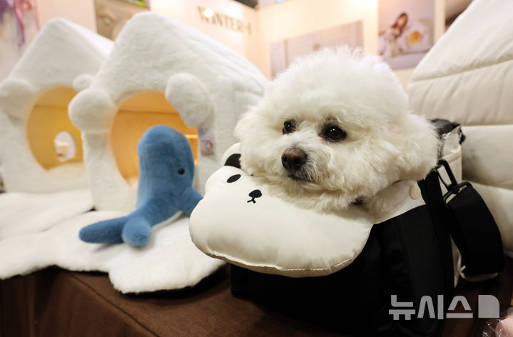 [고양=뉴시스] 전진환 기자 = 경기도 고양시 킨텍스에서 열린 마이펫페어 2026에서 한 변려견이 콘솔카시트 앉아 휴식을 취하고 있다. 2026.01.16. amin2@newsis.com