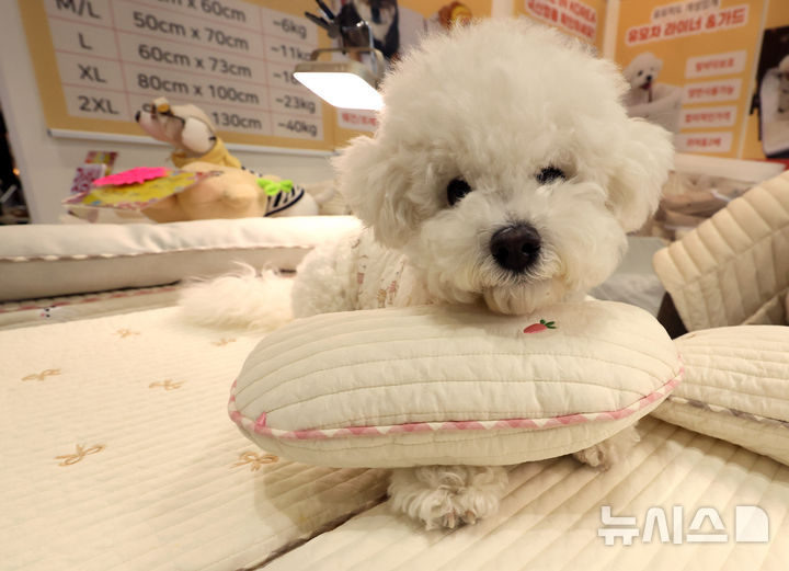 검역본부, 동물용 신약 전담체계 성과…반려견 심장치료제 등 7건 허가