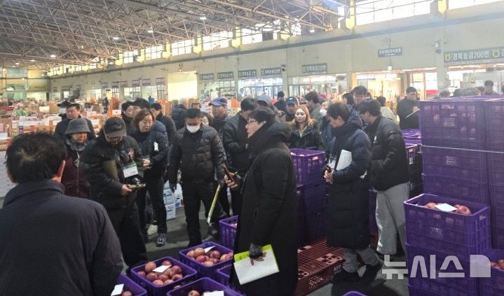 [포항=뉴시스] 송종욱 기자 = 지난 16일 대구경북사과원예농협 포항APC(기계 지점)에서 사과 원물 출하 첫 경매가 진행하고 있다. (사진=포항시 제공) 2026.01.18. photo@newsis.com