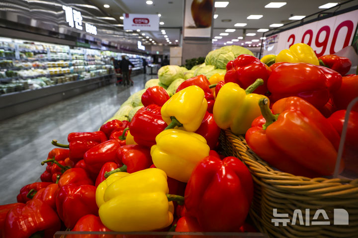 [서울=뉴시스] 정병혁 기자 =20일 식품영양학계에 따르면 비타민 C는 음식으로 꾸준히 보충하면 우리 몸에서 면역 기능을 높이는 데 도움을 받을 수 있다. 비타민 C가 풍부한 대표적인 식품으로는 고추, 파프리카, 오렌지 등이 있다. 지난 18일 서울시내 대형마트에 파프리카가 진열돼 있다. 2026.01.18. jhope@newsis.com