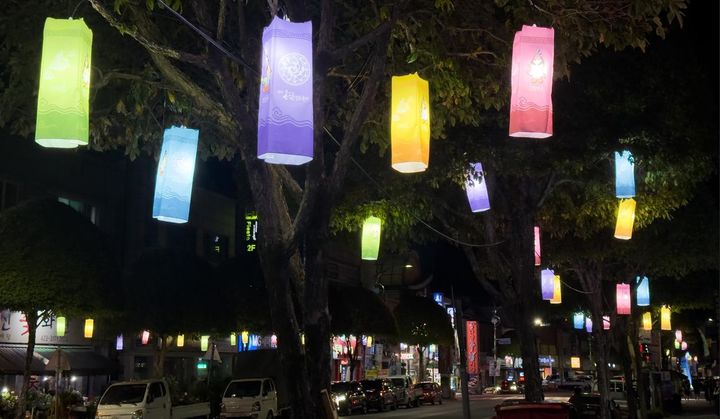 단양 도심 거리의 삼족오등 *재판매 및 DB 금지