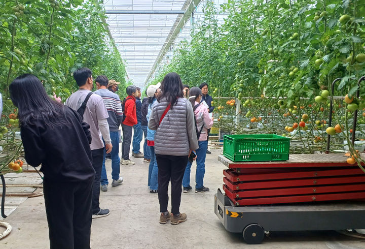 [나주=뉴시스] 전남농업기술원 시설토마토 현장교육 장면. (자료사진 = 전남농업기술원 제공). 2026.01.19. photo@newsis.com *재판매 및 DB 금지