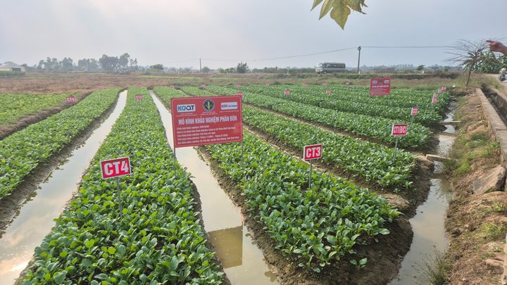 농진원, 해외서 K-농기자재 실증 지원…'해외 테스트베드' 참여기업 모집