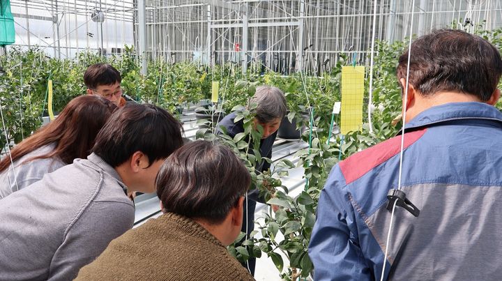 [합천=뉴시스] 합천군, 아열대 실증시험포 교육생 모집 (사진=합천군 제공) 2026. 01. 19. photo@newsis.com *재판매 및 DB 금지