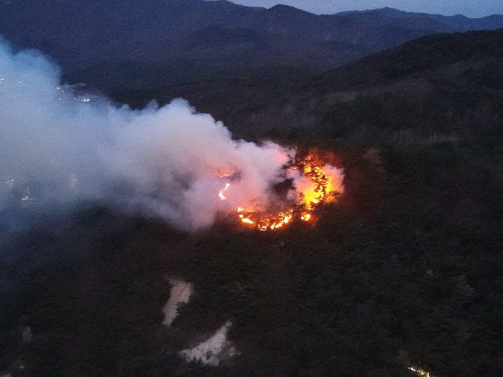 [울산=뉴시스] 20일 오전 울산 울주군 삼남읍 교동리 한 야산에서 불길이 올라오고 있다. 2026.01.20. (사진=울산소방본부 제공) photo@newsis.com *재판매 및 DB 금지