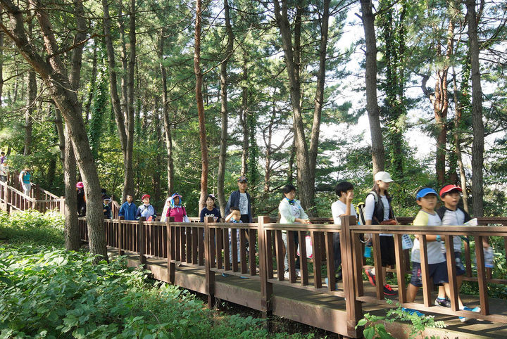 삼척 '오랍드리산소길' 걷기대회.(사진=삼척시 제공) *재판매 및 DB 금지