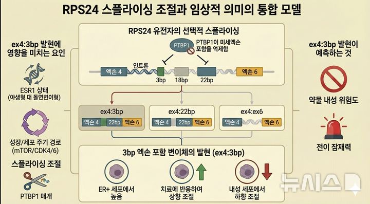 "같은 치료제 써도 효과달라"…'유방암 내성' 미리 예측