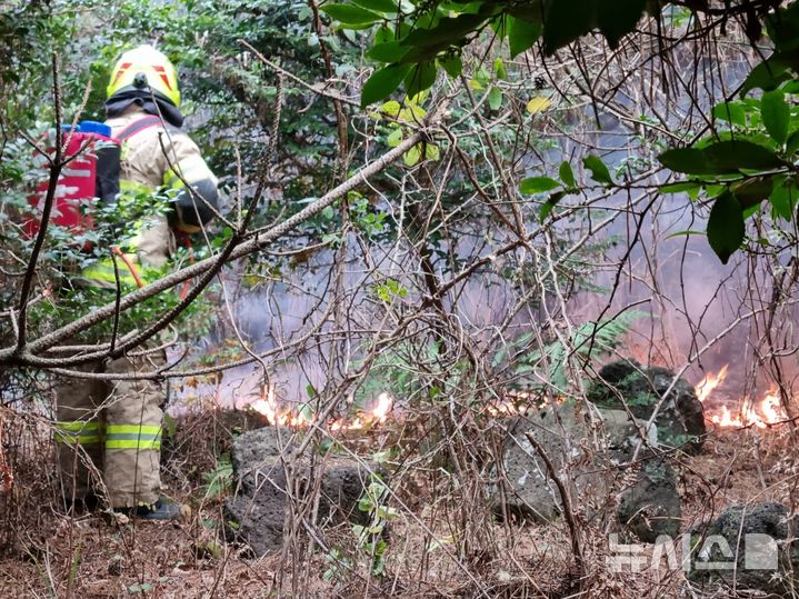 서귀포 성산 9000여㎡ 야초지 화재…인명 피해 없어
