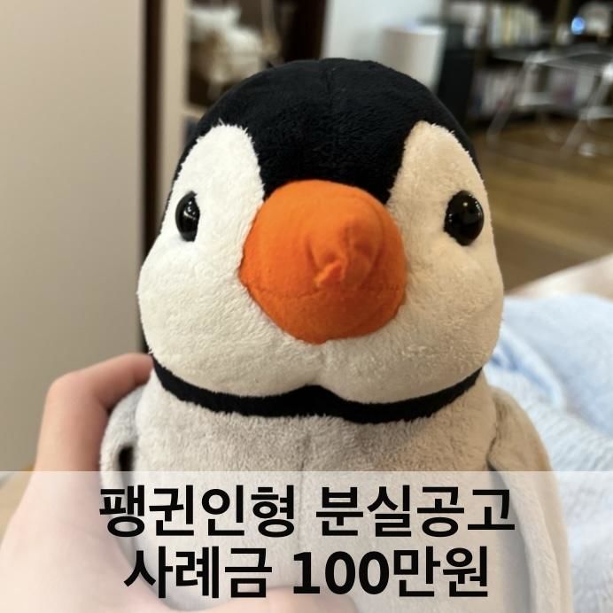 [뉴시스]펭귄 인형을 잃어버린 한 여성이 사례금 100만원을 걸고 분실 공고를 올렸다. (사진 = 온라인 커뮤니티 캡처) *재판매 및 DB 금지