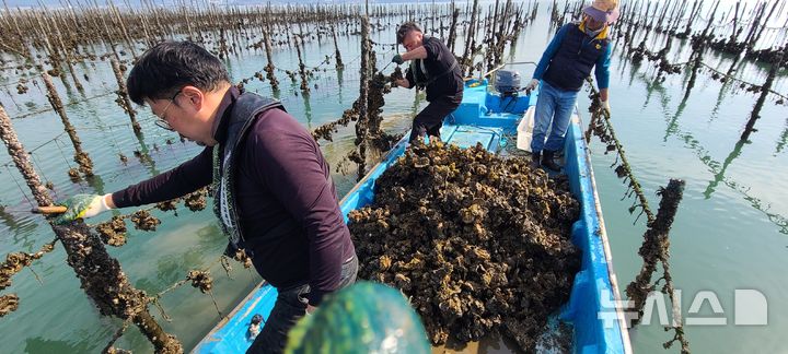 [창원=뉴시스]경상남도 제17기 귀어학교 교육생 현장실습 모습.(자료사진=경남도 제공)