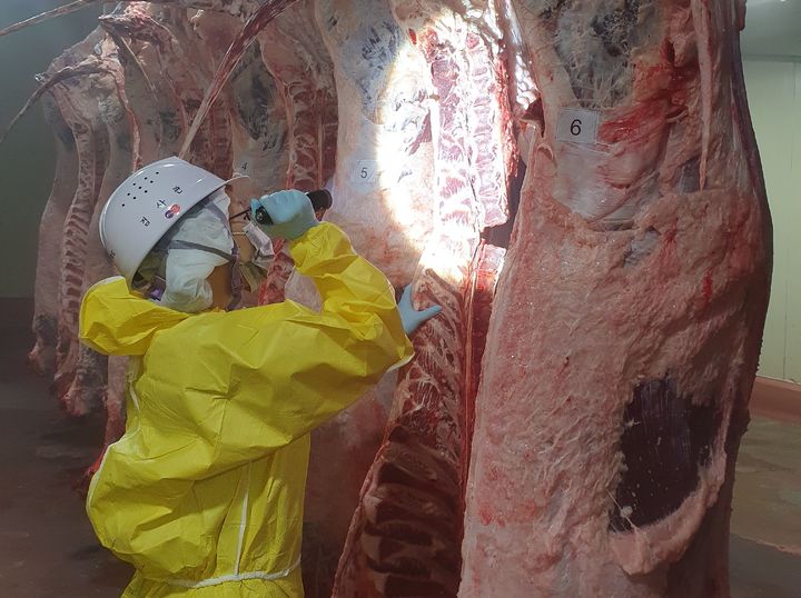 충북도 설 대비 축산물 안전성 검사. (사진=충북도 제공) *재판매 및 DB 금지