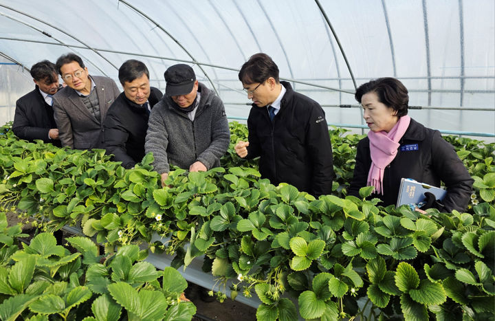 [곡성=뉴시스] 농협전남본부는 20일 곡성군 오곡면에 위치한 보급형 스마트팜 운영 시설을 방문해 현장 경영을 실시하고 사업 정착 상황과 농가 애로를 청취했다. (사진=전남농협 제공) photo@newsis.com *재판매 및 DB 금지