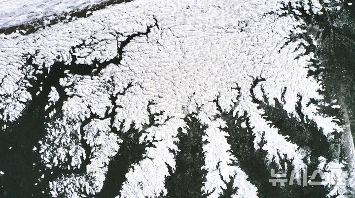 매서운 북극 한파에 바닷가도 꽁꽁 [뉴시스Pic]